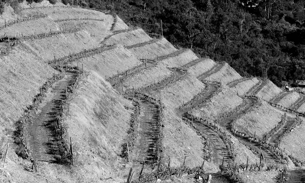 PATRIMÓNIO IMATERIAL DE FOLGOSA DO DOURO